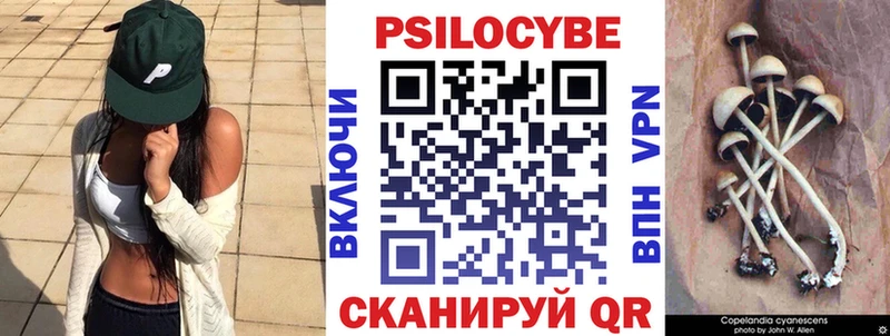 купить наркотики цена  Пойковский  Галлюциногенные грибы Psilocybe 