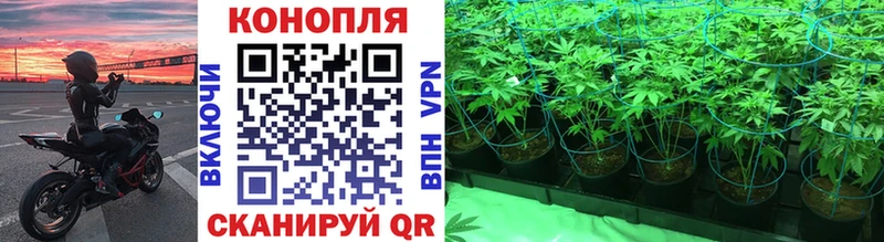 Шишки марихуана SATIVA & INDICA  Пойковский 